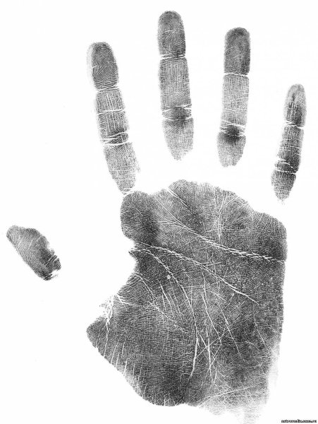 Отпечаток ладони