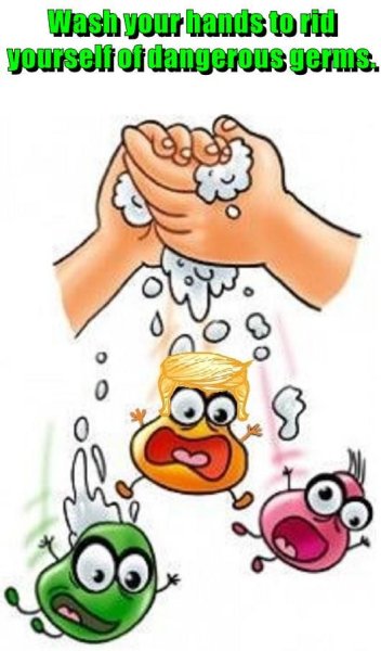 Мыло и микробы