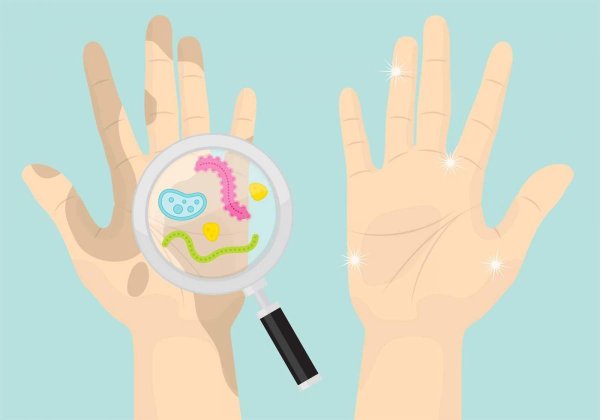 Чистые руки