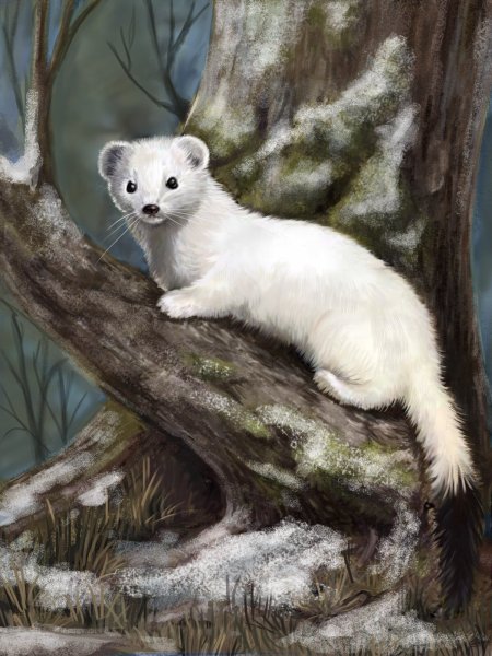 Горностай Тотем