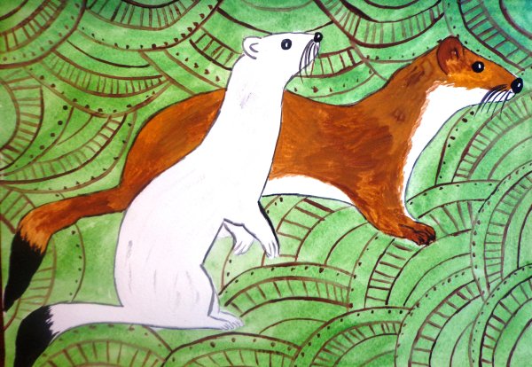 Горностай рисунок для детей