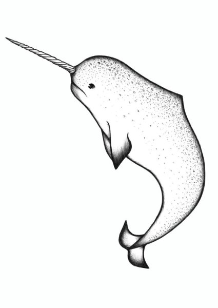 Нарвал карандашом