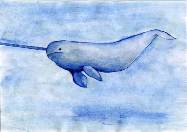 Нарвал арт карандашом