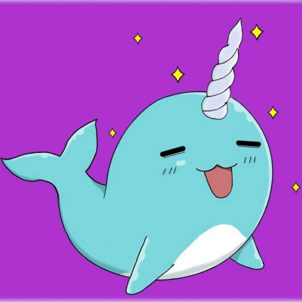 Кит Единорог