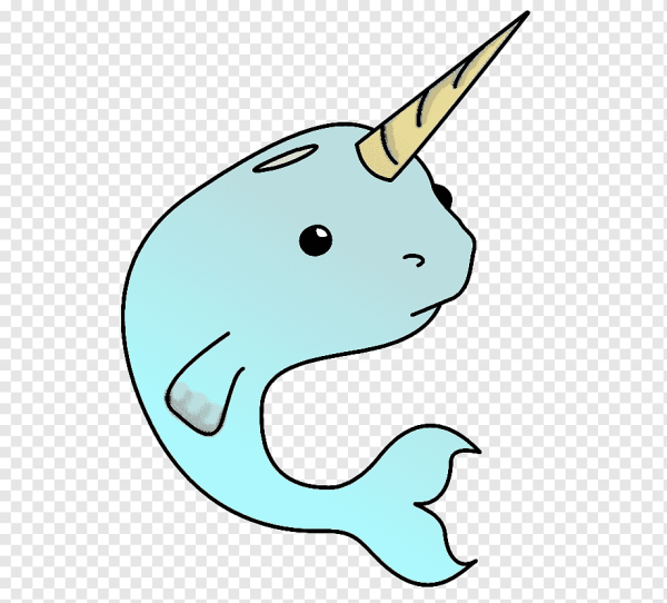 Нарвал аниме