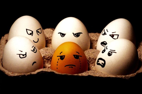 Расизм яйца