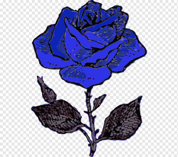 Синяя роза символ