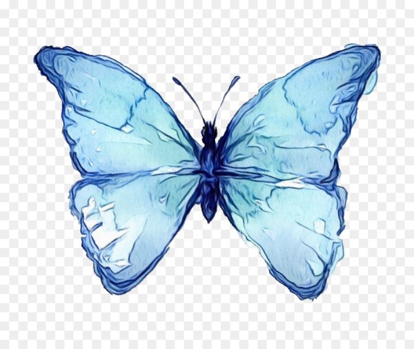 Голубая бабочка Life is Strange