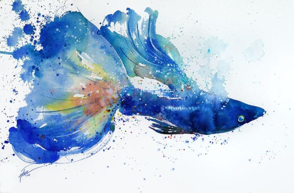 Рыбы акварелью
