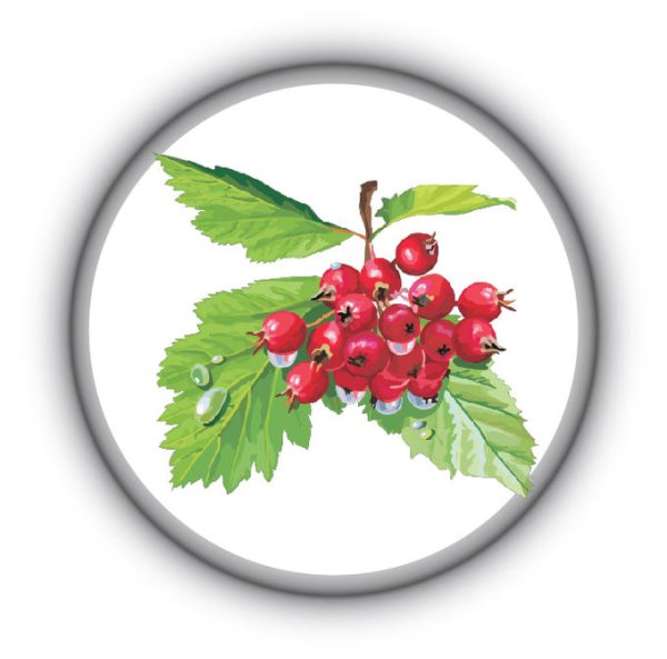 Сироп магия трав боярышник, черноплодная рябина, шиповник 330 г