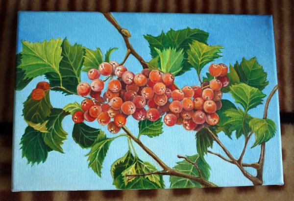 Осень боярышник живопись