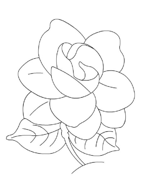 Роза раскраска для детей