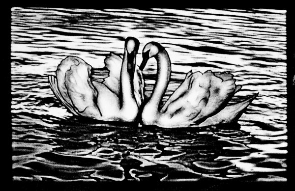 Наклейка на машину лошадь