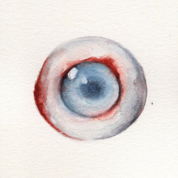 Нарисовать глазное яблоко