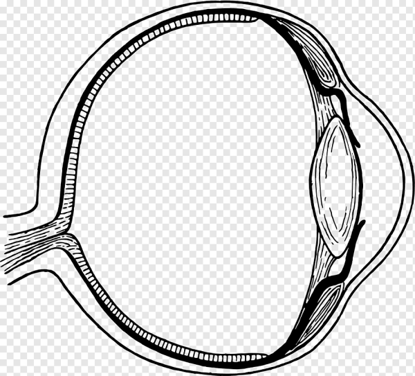 Грязное яблоко рисунок