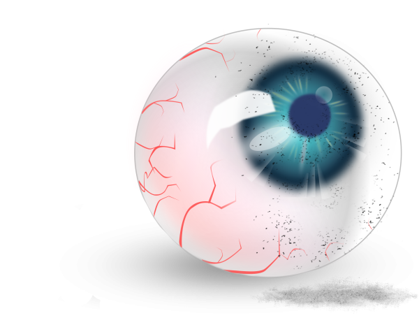 Глазное яблоко на белом фоне