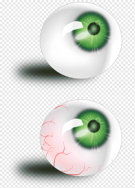 Нарисовать глазное яблоко