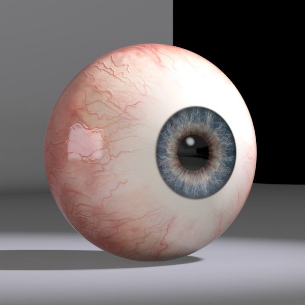 Глаза анатомия зрачка рисование