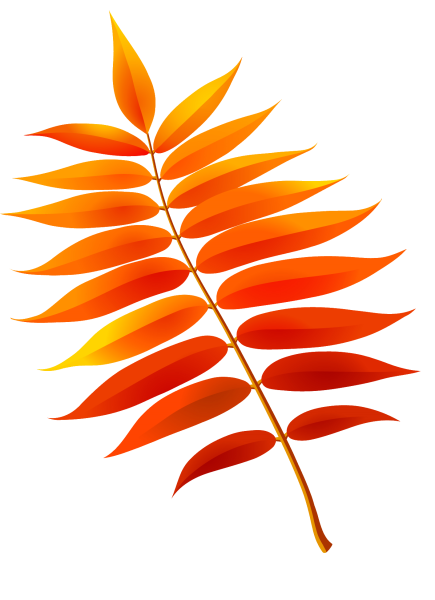 Лист рябины