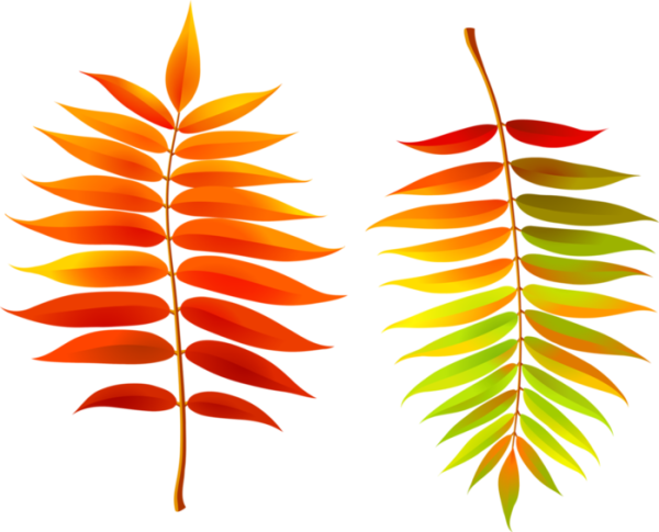 Лист рябины раскраска