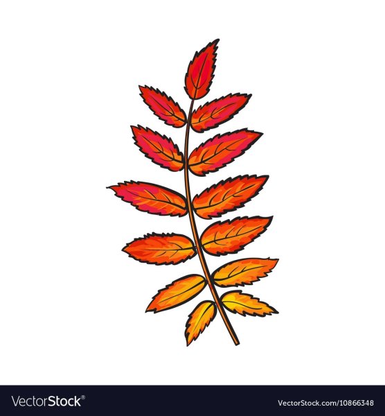 Рябиновый лист трафарет