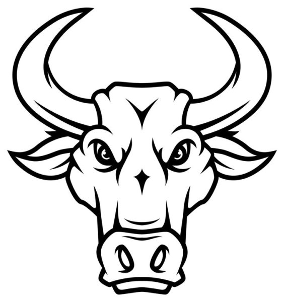 Голова быка