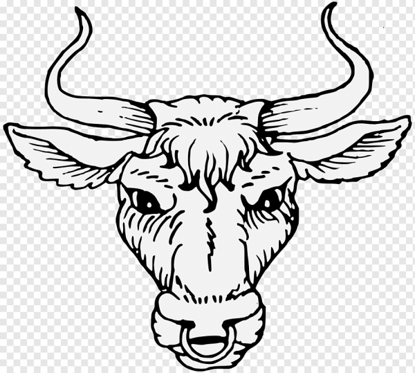 Изображения головы бычка