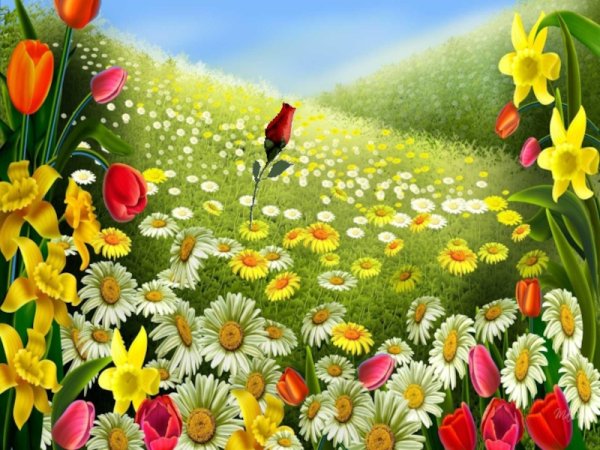 Сказочная Поляна цветов