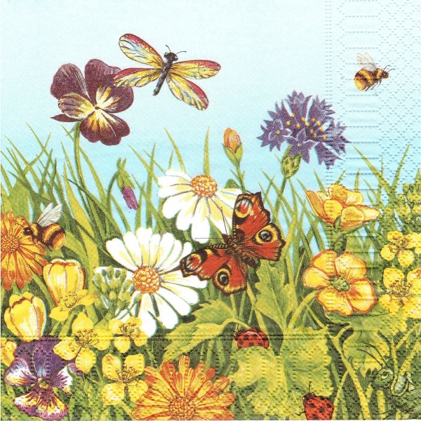 Летний луг с насекомыми