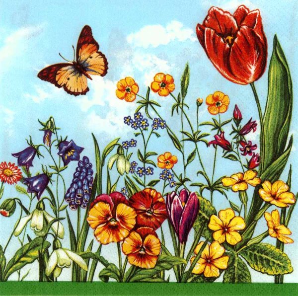 Летние цветы для дошкольников