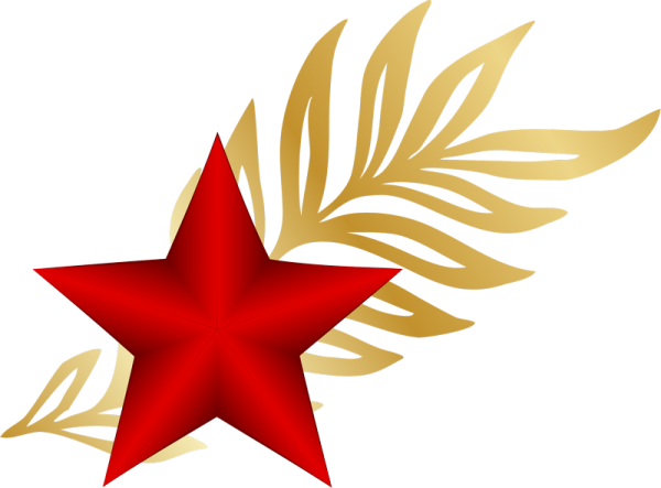 Военная звезда на прозрачном фоне