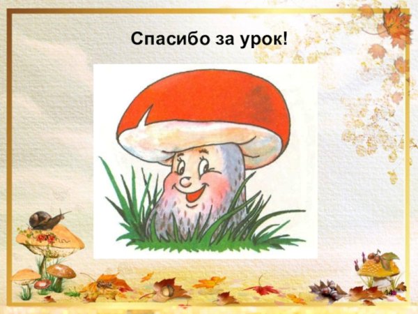 Окружающий мир тема грибы