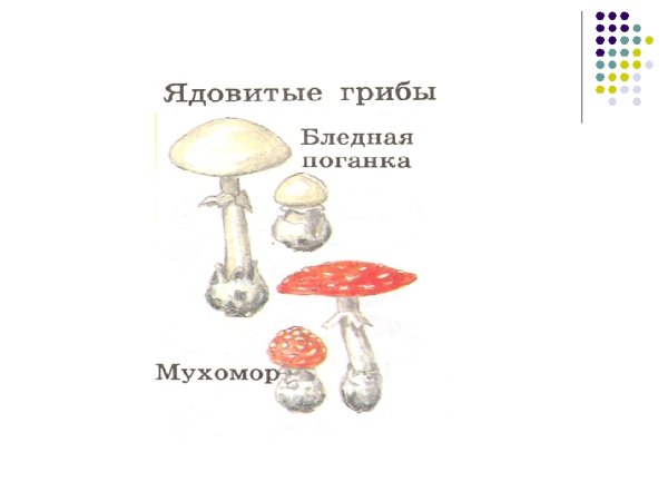 Грибы 2 класс литературное чтение