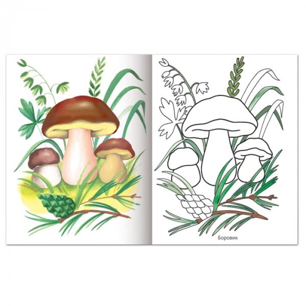 Рисунок на тему грибы