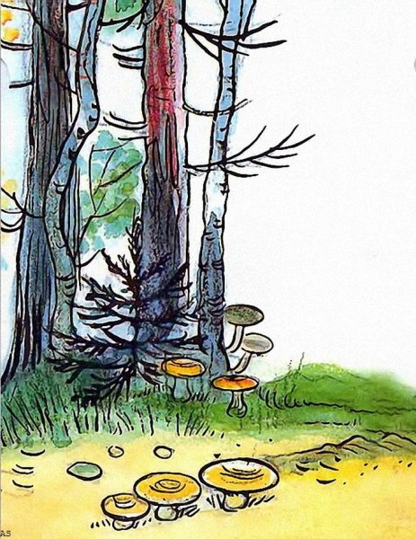 Живые грибы Сутеев