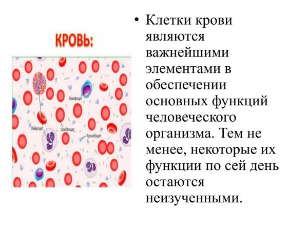Строение клеток крови рисунок