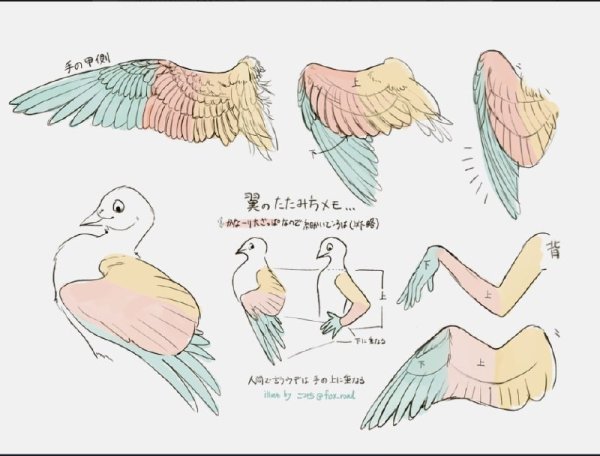 Сложенные Крылья