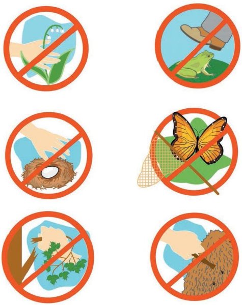 Знаки поведения в природе