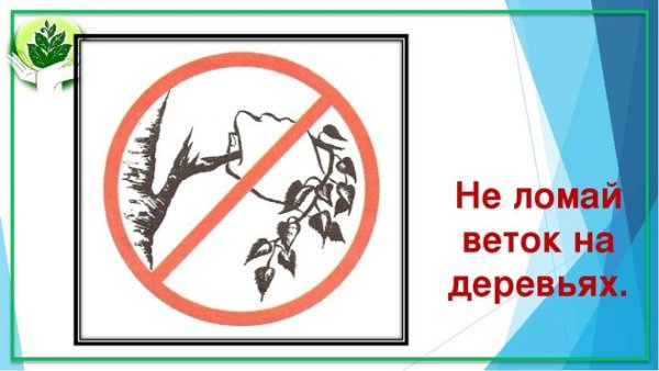 Знаки охраны природы