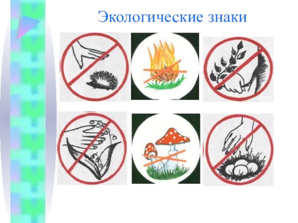 Экологические знаки