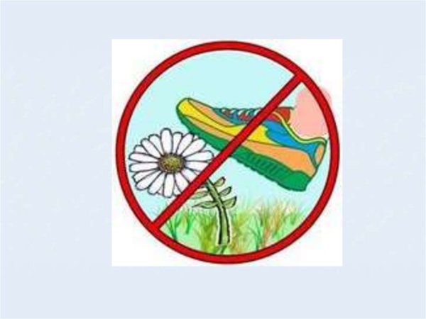 Знак не вырывай грибы с грибницей