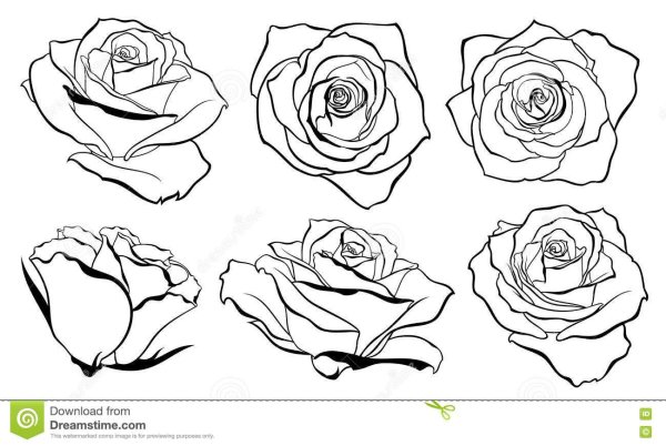 Бутон розы эскиз