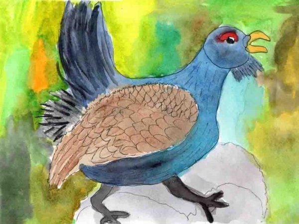 Рисуем глухаря