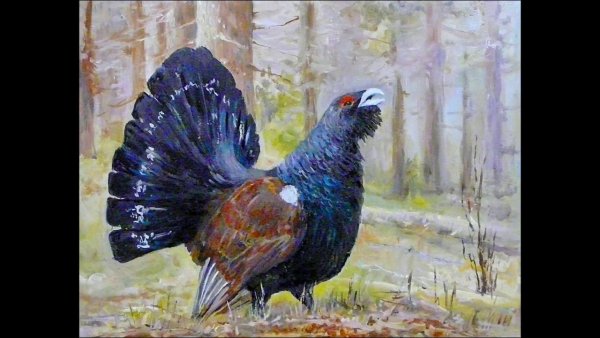 Глухарь для детей