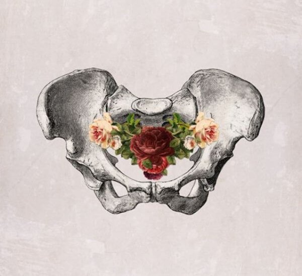 Женский таз