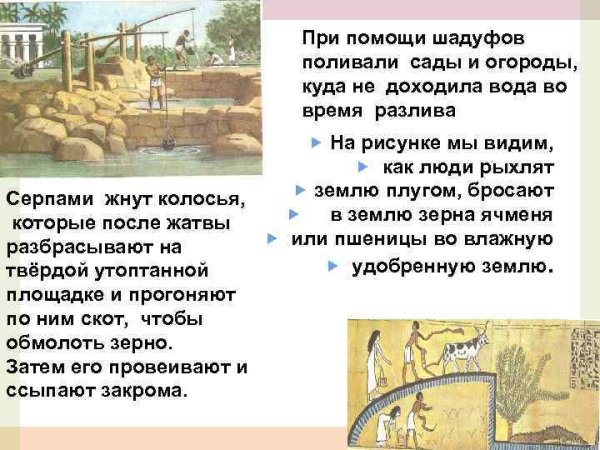 Шадуф состоит из врытых