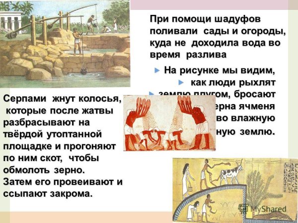 Шадуф в древнем Египте рисунок