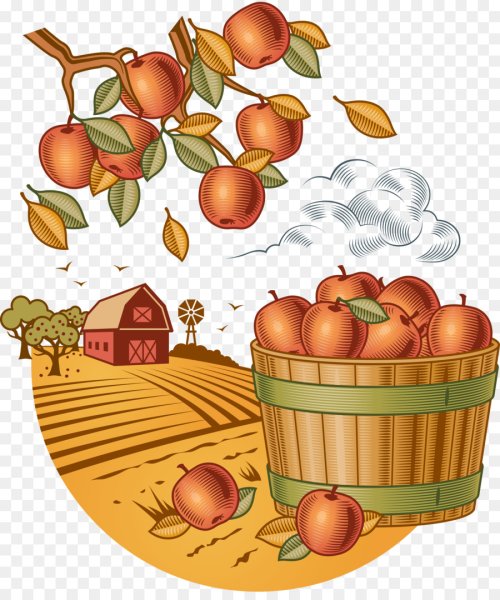 Осенний урожай для детей