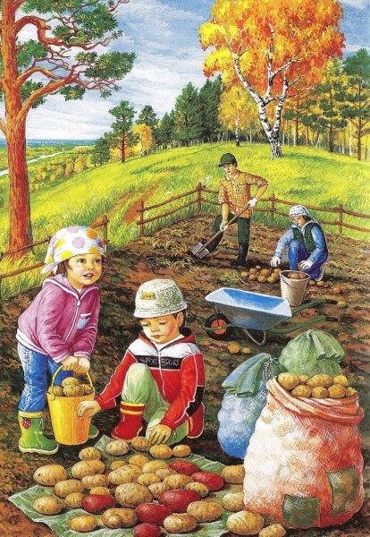 Уборка овощей Нищева