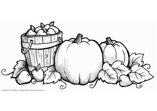 Дары осени раскраски для детей